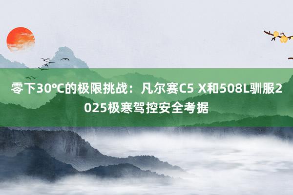 零下30℃的极限挑战：凡尔赛C5 X和508L驯服2025极寒驾控安全考据
